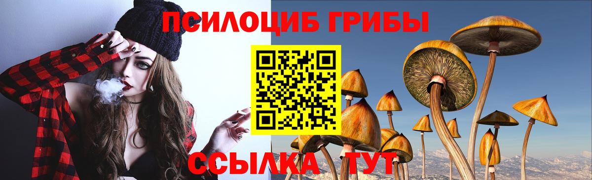 Галлюциногенные грибы прущие грибы  Вход с VPN  Малгобек 