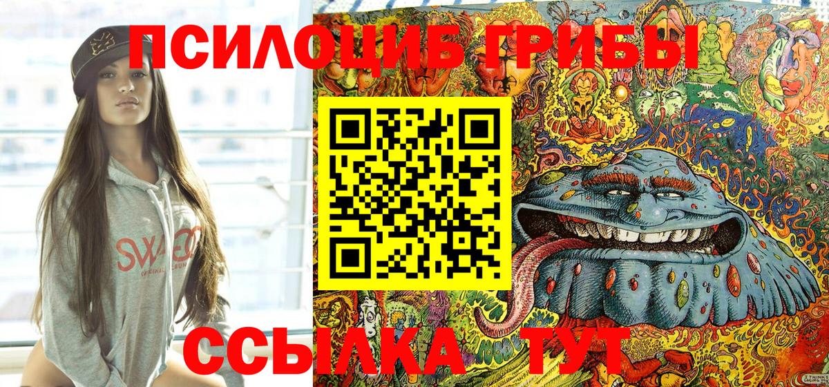 Псилоцибиновые грибы мицелий Малгобек